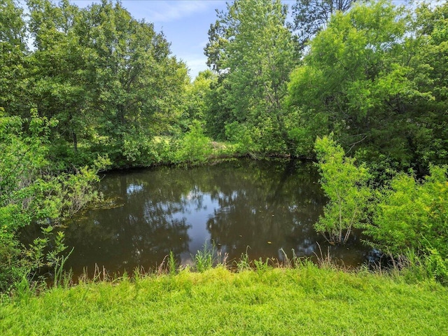 1339 W Business Highway 60-63, Willow Springs, MO 65793 - water view featuring a forest