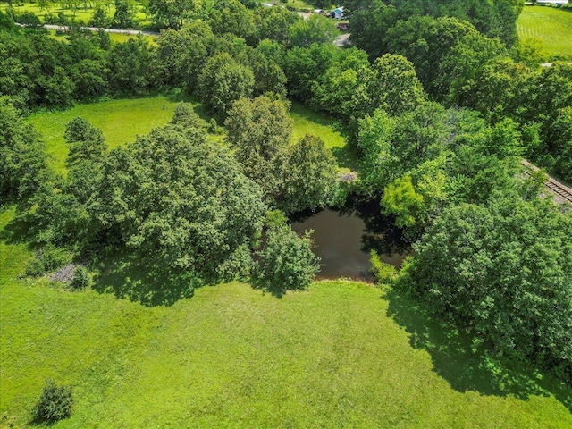 1339 W Business Highway 60-63, Willow Springs, MO 65793 - aerial view