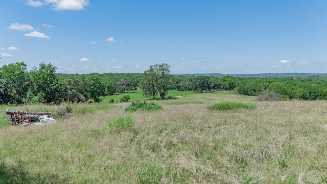 619 Rte H, Greenfield, MO 65661 - view of local wilderness with rural landscape