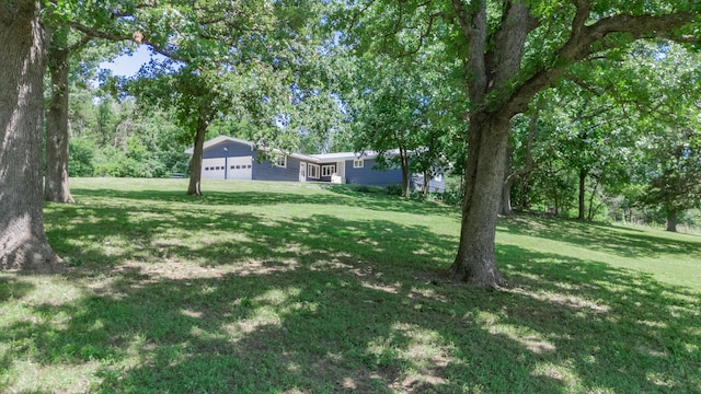 619 Rte H, Greenfield, MO 65661 - view of green lawn