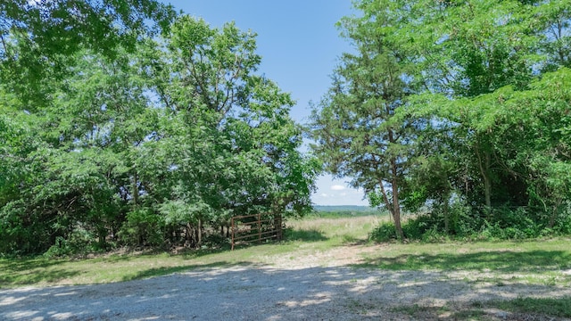 619 Rte H, Greenfield, MO 65661 - view of yard