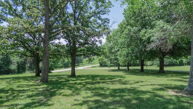 619 Rte H, Greenfield, MO 65661 - view of community featuring a lawn