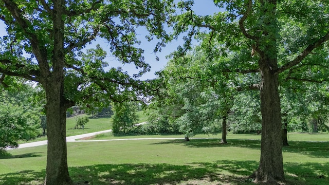 619 Rte H, Greenfield, MO 65661 - view of community featuring a lawn