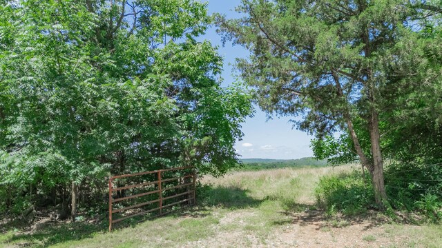 619 Rte H, Greenfield, MO 65661 - view of yard