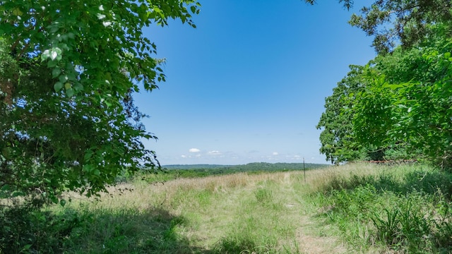 619 Rte H, Greenfield, MO 65661 - view of undeveloped land featuring rural landscape