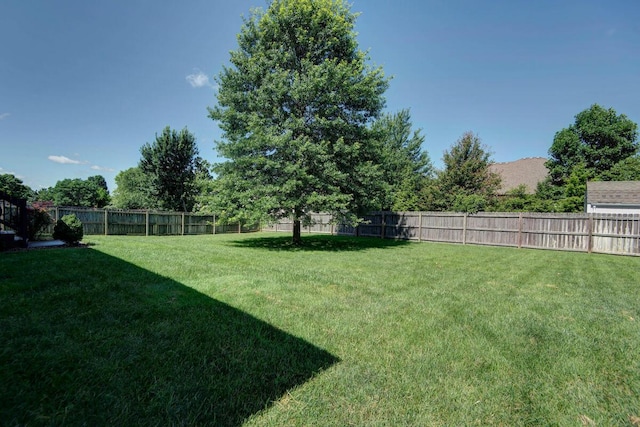 645 Galileo Dr, Nixa, MO 65714 - view of fenced backyard
