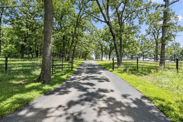 14410 Native Dr, Phillipsburg, MO 65722 - view of road featuring a gated entry and a gate