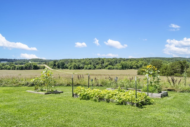 14410 Native Dr, Phillipsburg, MO 65722 - view of green lawn featuring a vegetable garden and a rural view
