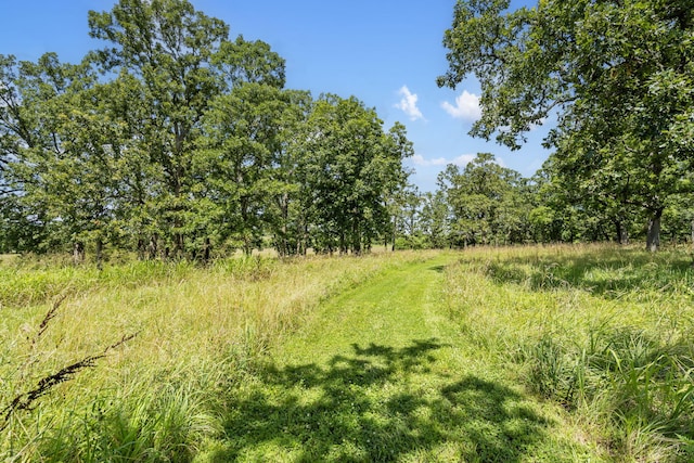 14410 Native Dr, Phillipsburg, MO 65722 - view of local wilderness