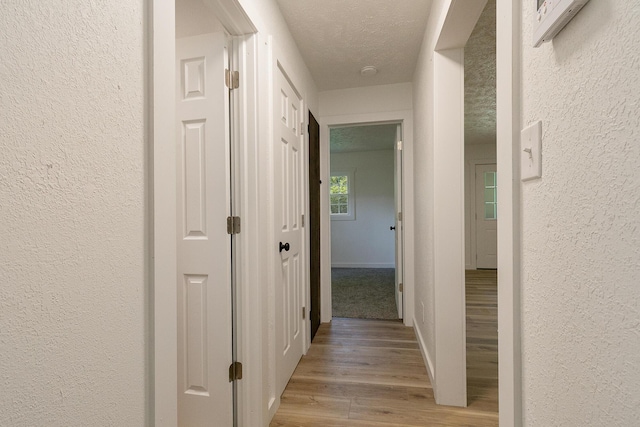 2716 W Elm St, Springfield, MO 65802 - hallway with a textured wall, light wood-style flooring, and a textured ceiling