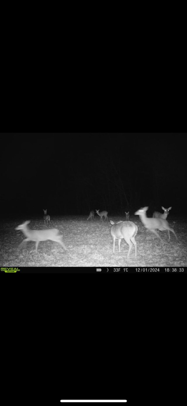000B Chadwick Rd, Chadwick, MO 65629