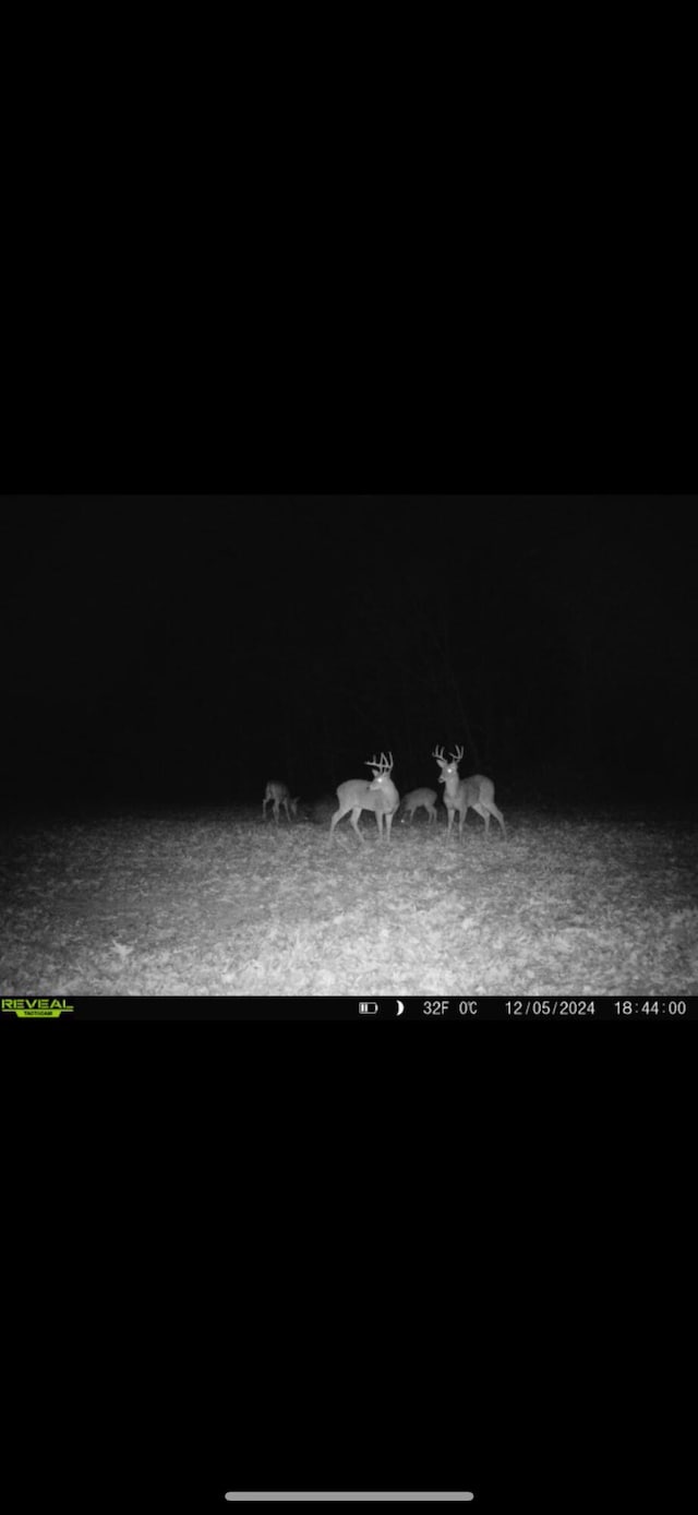 000B Chadwick Rd, Chadwick, MO 65629