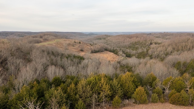 000B Chadwick Rd, Chadwick, MO 65629