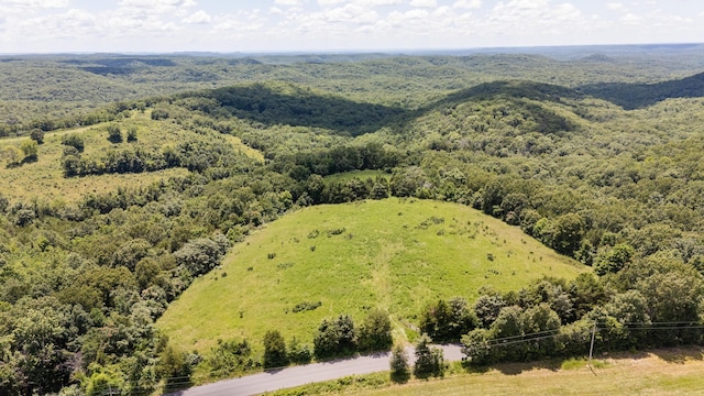 000B Chadwick Rd, Chadwick, MO 65629