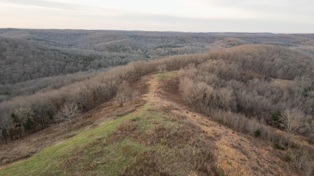 000B Chadwick Rd, Chadwick, MO 65629