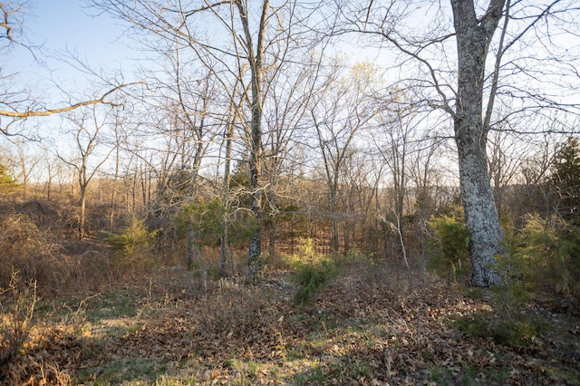 000B Chadwick Rd, Chadwick, MO 65629