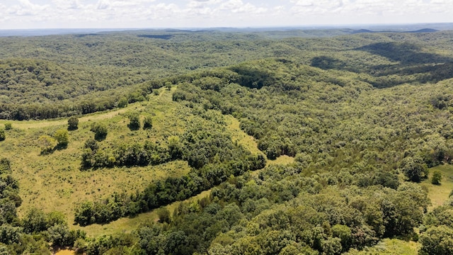 000B Chadwick Rd, Chadwick, MO 65629