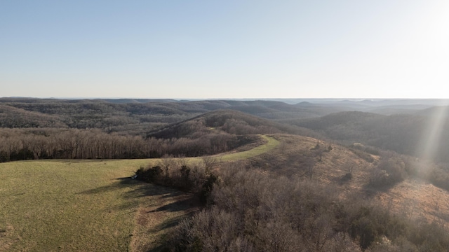 000B Chadwick Rd, Chadwick, MO 65629