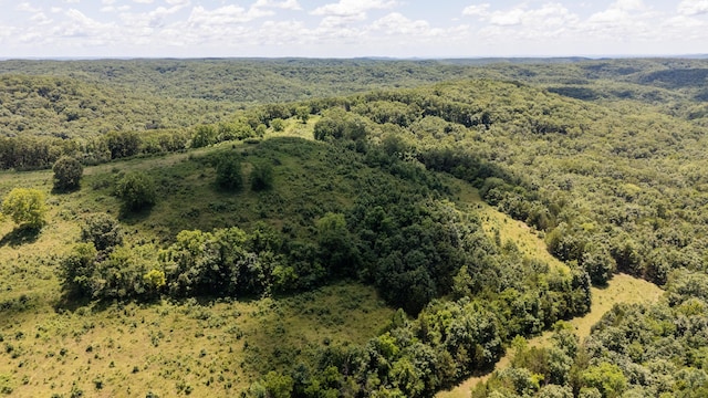 000B Chadwick Rd, Chadwick, MO 65629