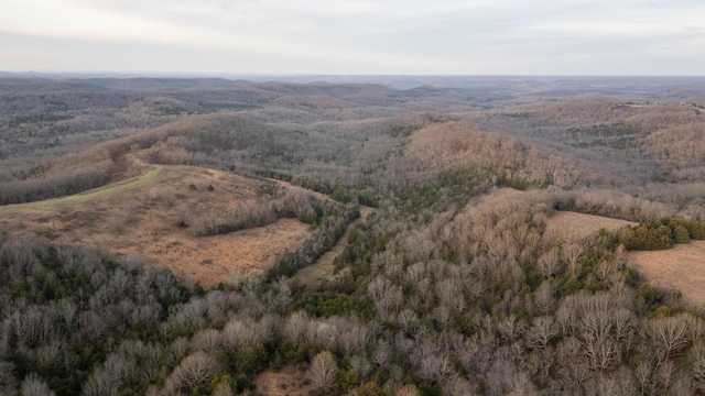 000B Chadwick Rd, Chadwick, MO 65629