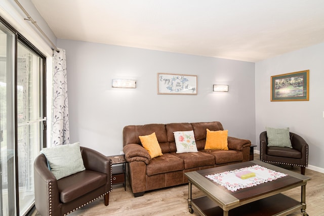 320 Turnberry Rd # 2, Branson, MO 65616 - living room featuring light wood finished floors