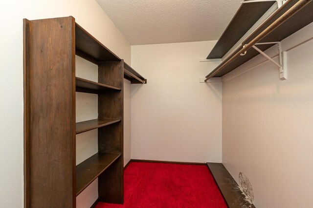 2311 E Meadow Dr, Springfield, MO 65804 - walk in closet featuring carpet flooring