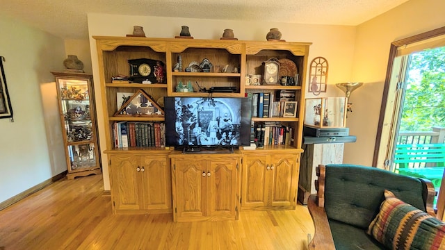 2930 S 175th Rd, El Dorado Springs, MO 64744 - living room with light wood finished floors and a textured ceiling