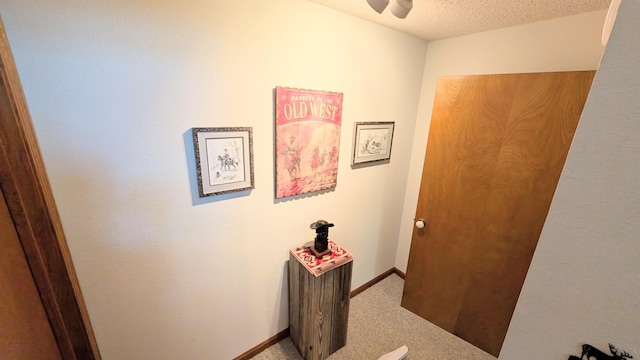 2930 S 175th Rd, El Dorado Springs, MO 64744 - corridor with carpet floors and a textured ceiling