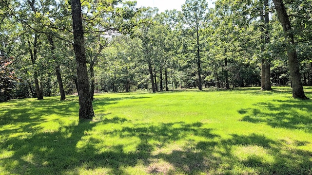 2930 S 175th Rd, El Dorado Springs, MO 64744 - view of green lawn featuring a wooded view