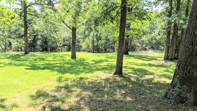 2930 S 175th Rd, El Dorado Springs, MO 64744 - view of grassy yard featuring a wooded view