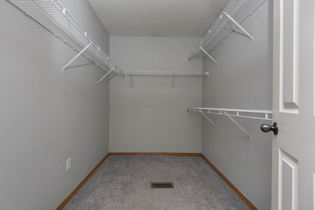 805 S Benson Pl, Nixa, MO 65714 - walk in closet featuring carpet floors