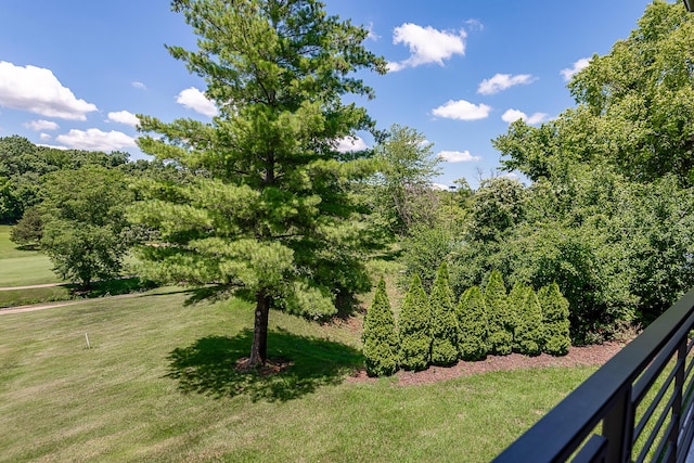 6323 Creeksedge Ct, Ozark, MO 65721 - view of grassy yard