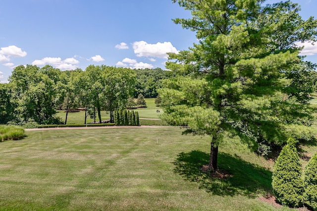 6323 Creeksedge Ct, Ozark, MO 65721 - view of green lawn