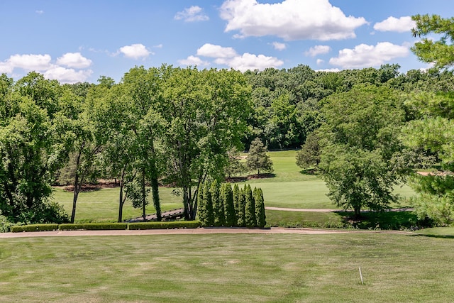 6323 Creeksedge Ct, Ozark, MO 65721 - view of home's community with a lawn