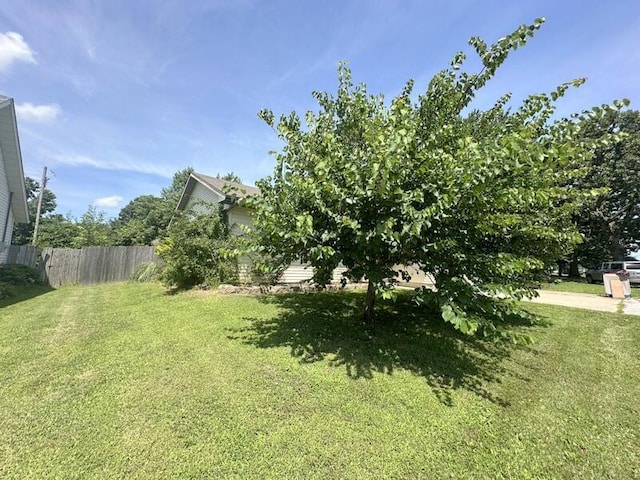2201 S 18th Ave, Ozark, MO 65721 - view of yard