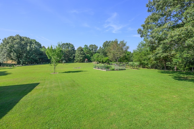 32344 US Highway 160, Tecumseh, MO 65760 - photo 42