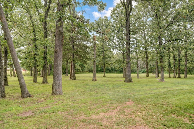 12163 State Highway Tt, Republic, MO 65738 - view of grassy yard