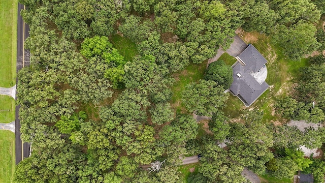 12163 State Highway Tt, Republic, MO 65738 - aerial view of property's location