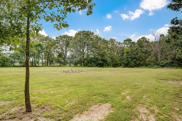 12163 State Highway Tt, Republic, MO 65738 - view of grassy yard