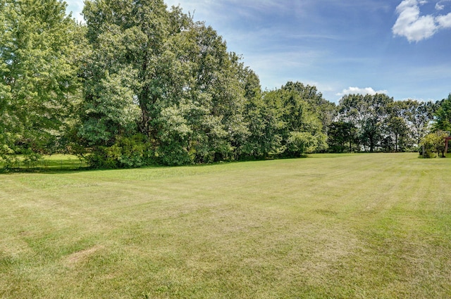 823 Mcvey St, Mount Vernon, MO 65712 - view of green lawn
