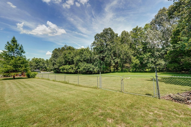 823 Mcvey St, Mount Vernon, MO 65712 - view of yard featuring a gate