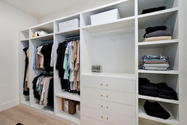 104 Walnut Hill Ln, Ozark, MO 65721 - view of closet