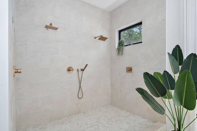 104 Walnut Hill Ln, Ozark, MO 65721 - full bath featuring a tile shower