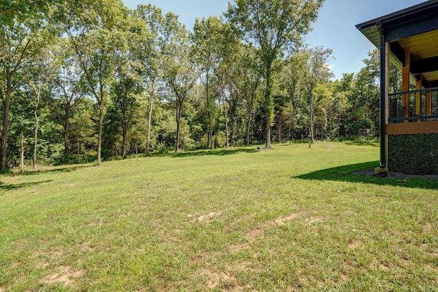 104 Walnut Hill Ln, Ozark, MO 65721 - view of grassy yard
