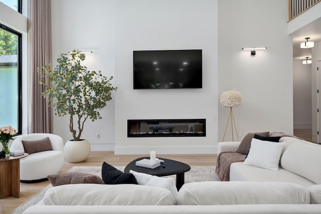 104 Walnut Hill Ln, Ozark, MO 65721 - living area featuring a glass covered fireplace and wood finished floors