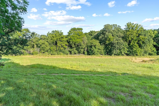8756 W Farm Rd Unit 124, Springfield, MO 65802 - view of yard featuring a forest view