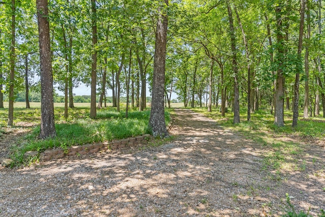 8756 W Farm Rd Unit 124, Springfield, MO 65802 - view of street