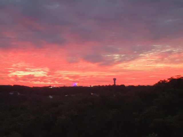 2915 Vineyards Pkwy Unit 6, Branson, MO 65616 - view of nature at dusk
