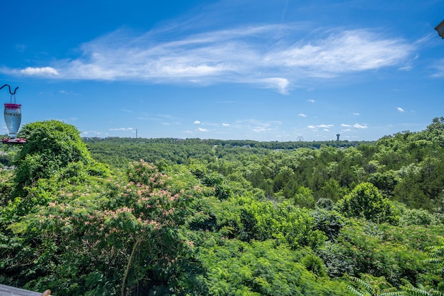 2915 Vineyards Pkwy Unit 6, Branson, MO 65616 - view of wooded area