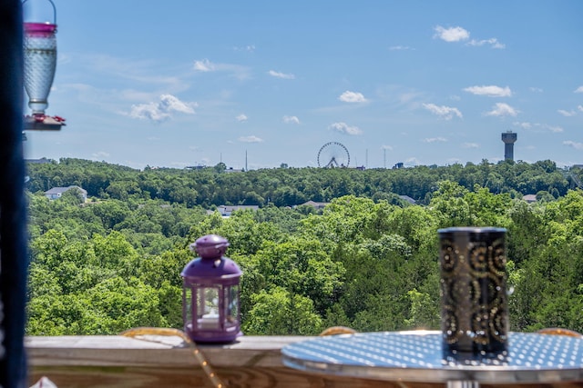 2915 Vineyards Pkwy Unit 6, Branson, MO 65616 - detailed view of a heavily wooded area